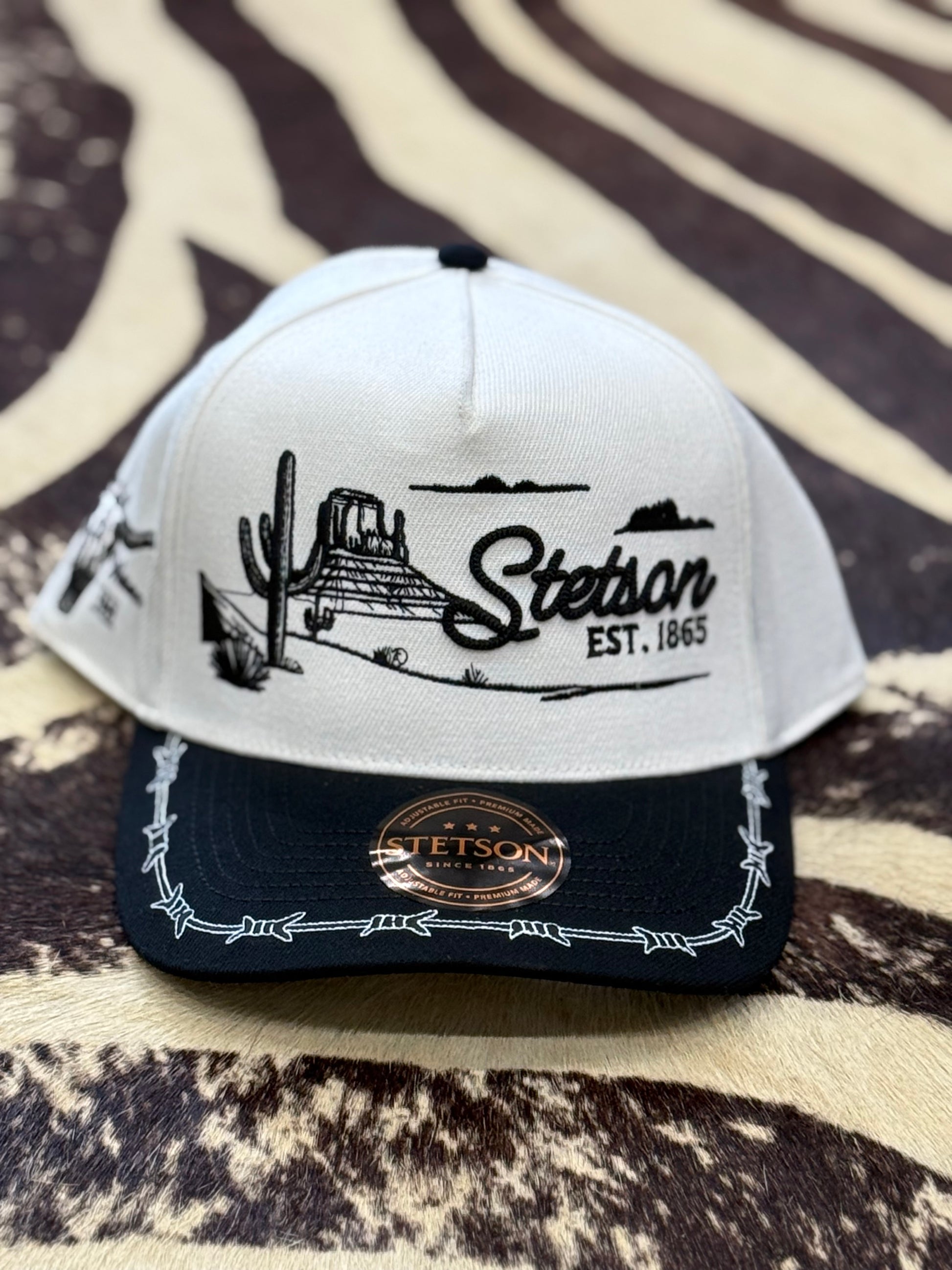 Stetson Landscape Ballcap