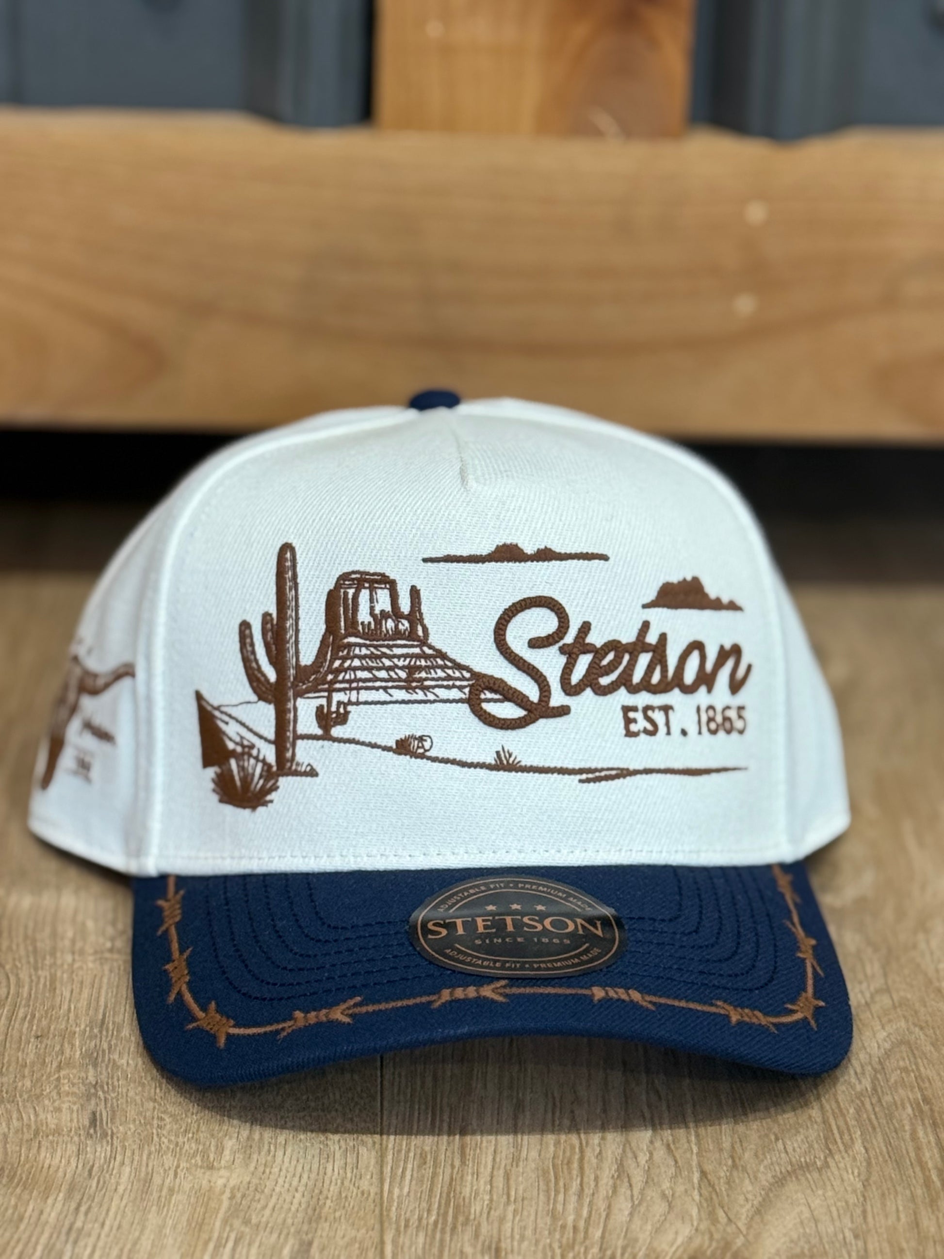 Stetson Desert Scene Trucker Hat