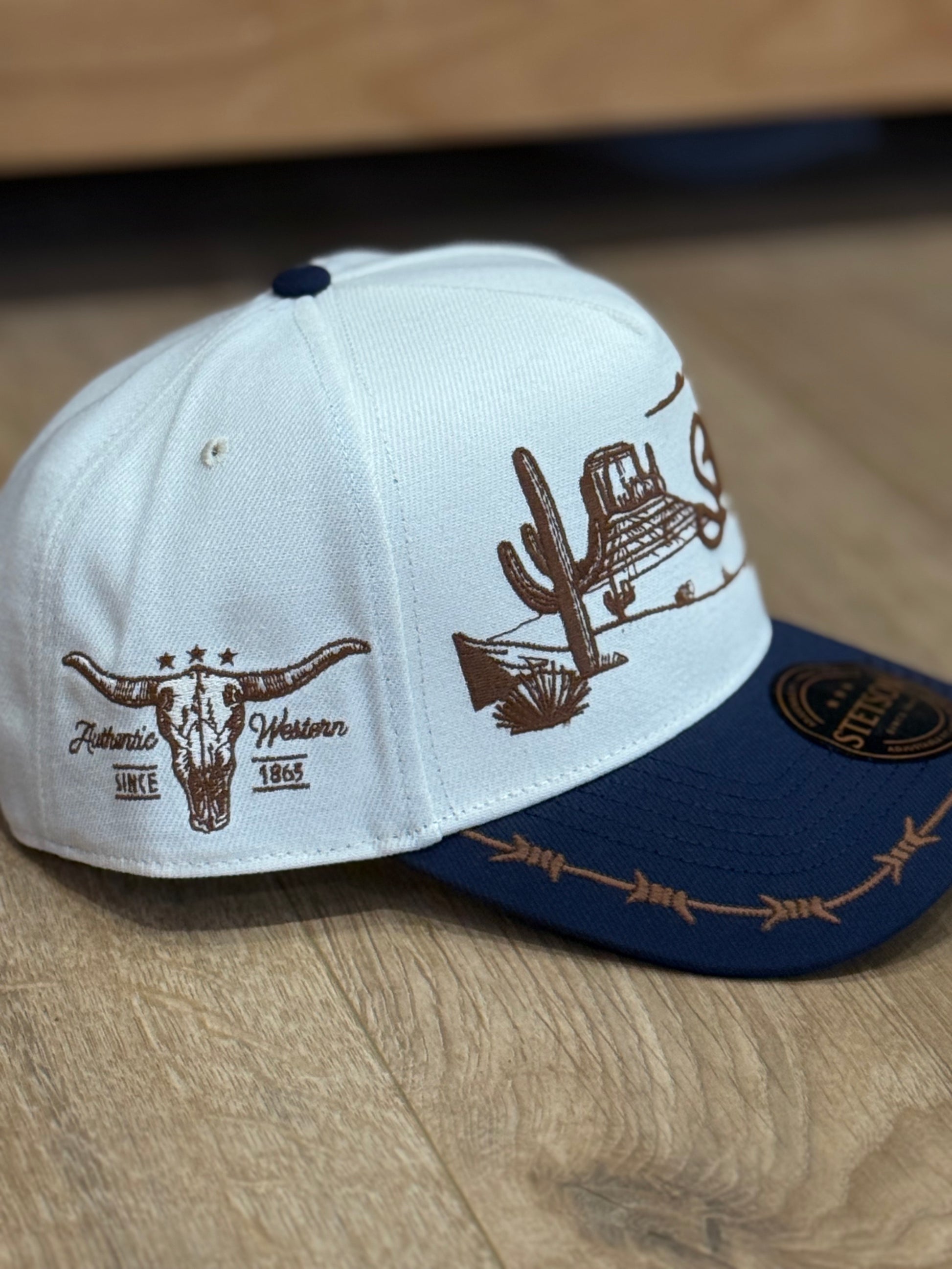 Stetson Desert Scene Trucker Hat