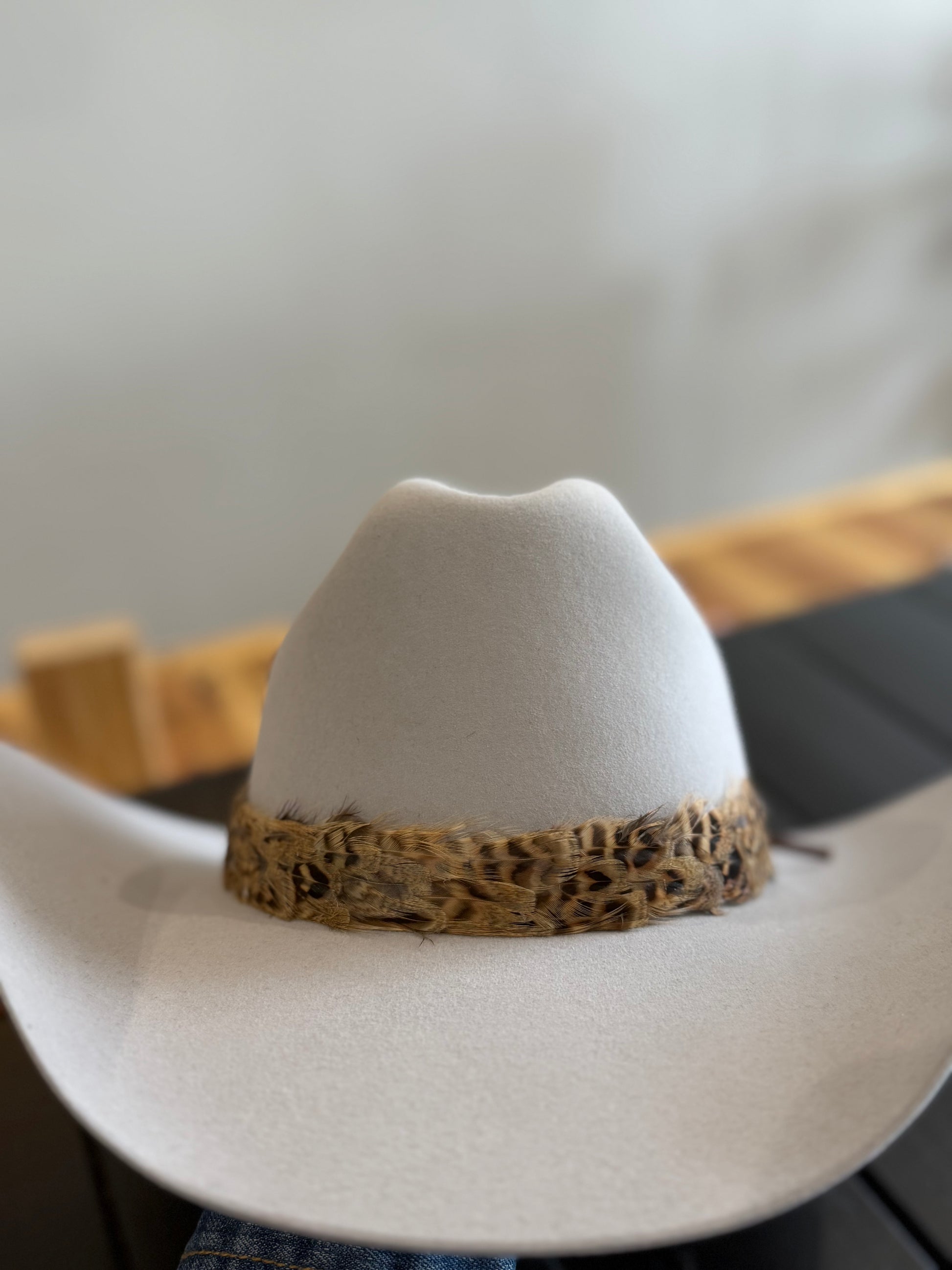 Wild Western Feather Hat band