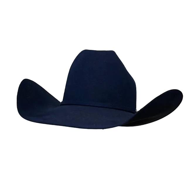 Rodeo King 10x 4 1/2" Brim Navy