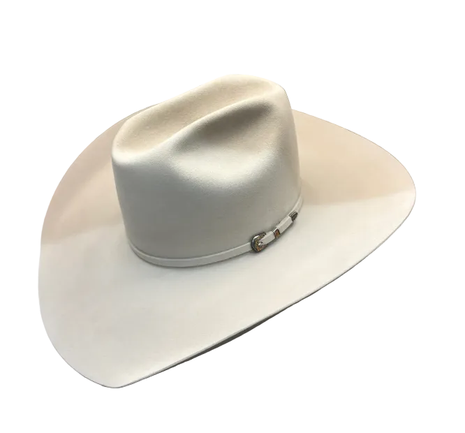 Rodeo King 100X / 100% Pure Beaver 4 1/2" Brim | Silverbelly