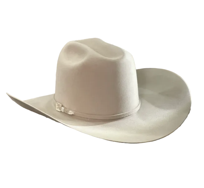 Rodeo King 100X / 100% Pure Beaver 4 1/2" Brim | Silverbelly
